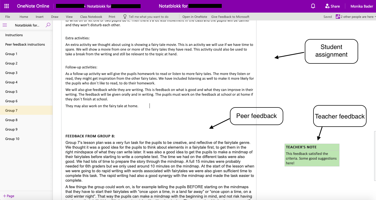 A screenshot displaying Student assignment, Peer feedback and Teacher feedback